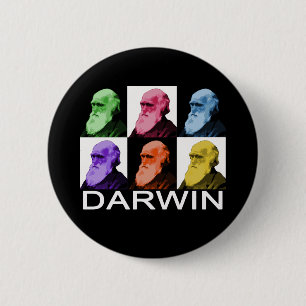 Regnbågen Darwin knäppas Knapp