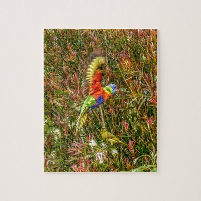 REGNBÅGEN LORIKEET AUSTRALIEN MED KONST PUSSEL (Vertikal)