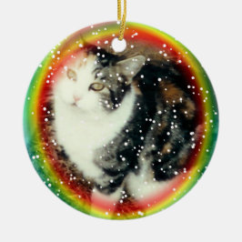 Regnbågen överbryggar den minnes- prydnaden julgransprydnad keramik