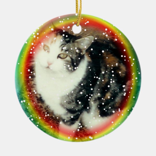 Regnbågen överbryggar den minnes- prydnaden julgransprydnad keramik (Framsidan)