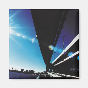 Regnbågen överbryggar, Tokyo Magnet