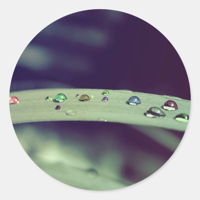 Regnbågen tappar klistermärkear runt klistermärke (Framsida)