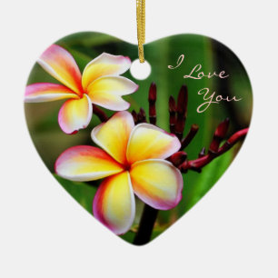 RegnbågePlumeria, älskar jag dig prydnaden Julgransprydnad Keramik