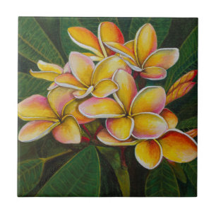 RegnbågePlumeria Kakelplatta
