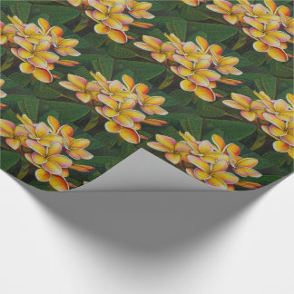 RegnbågePlumeria Presentpapper