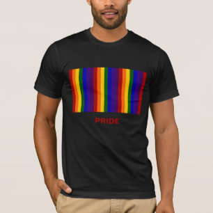 Regnbågerandar Tee Shirt