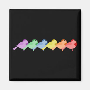 RegnbågeRobins Magnet