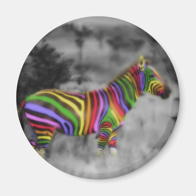 Regnbågesebra Magnet (Framsidan)