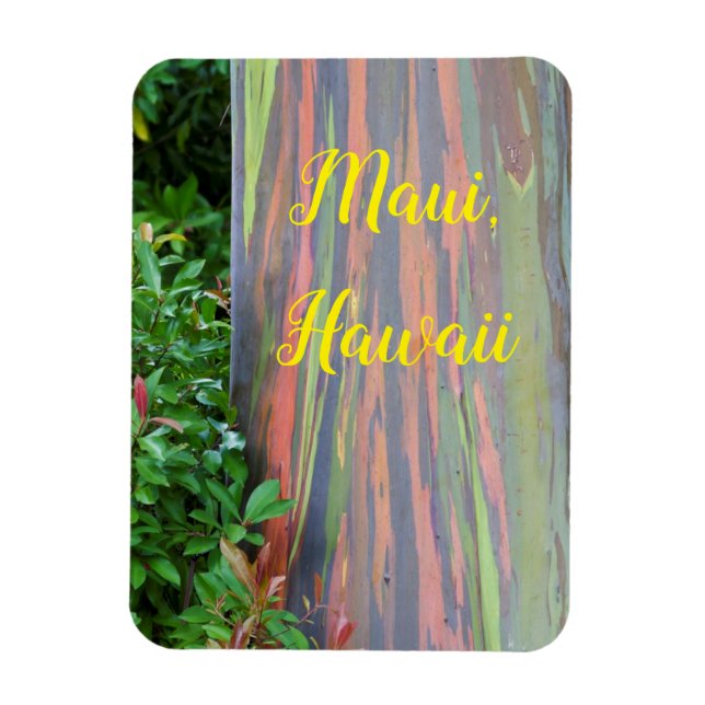 Regnbågs-Eukalyptus Träd Maui, Hawaii Magnet (Vertikal)