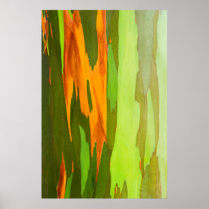 Regnbågs eukalyptusbark, Hawaii Poster