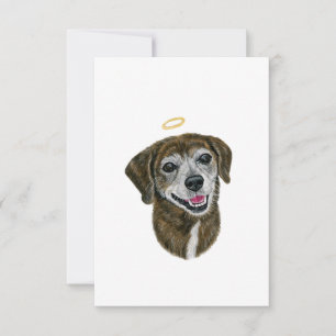 Regnbågs Hund Sympathy Card Tack Kort