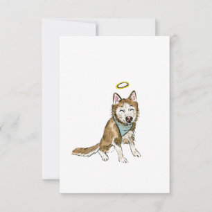 Regnbågs Hund Sympathy Card Tack Kort