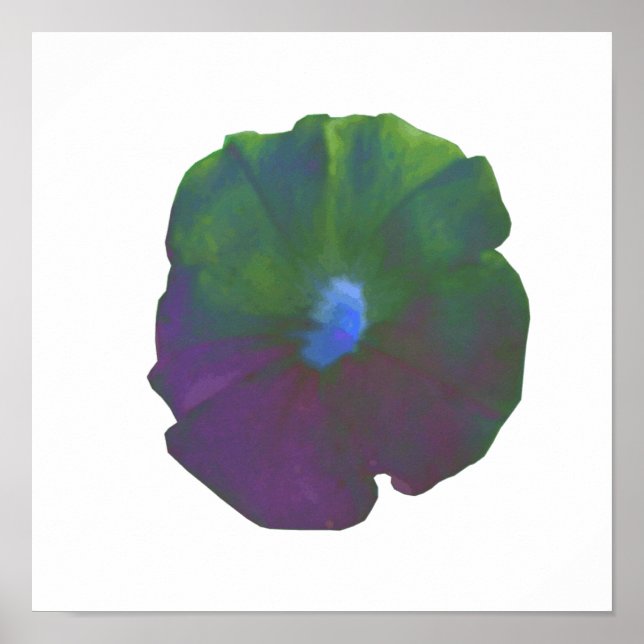 Regnbågs Petunia Affisch (Framsidan)
