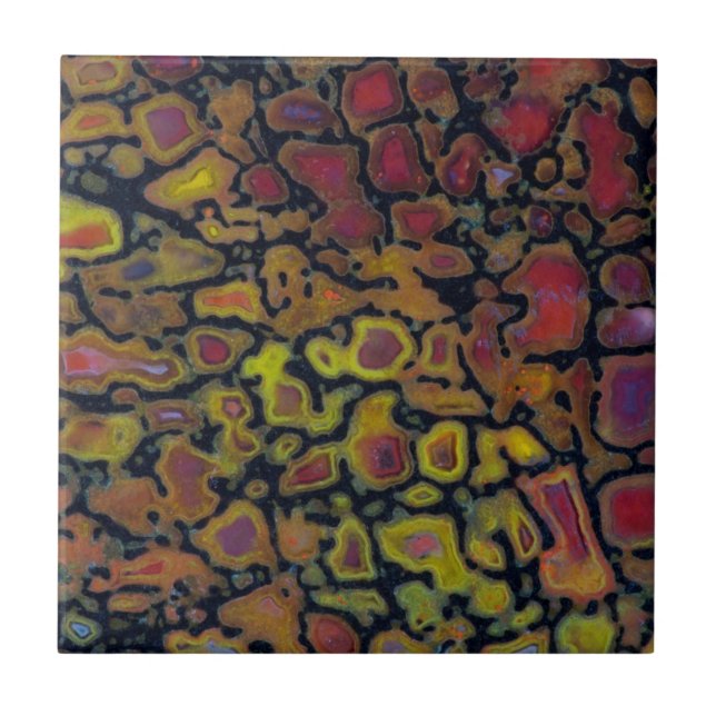 Regnbågsbenet Dinosaur Bone Kakelplatta (Framsidan)