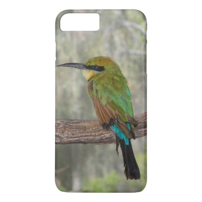 Regnbågsbiätare, Australien Case-Mate iPhone Skal (Baksida)
