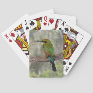 Regnbågsbiätare, Australien Casinokort