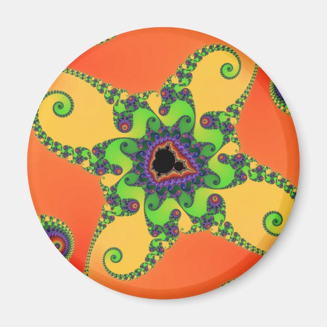 Regnbågsbläckfiskar Magnet (Framsidan)