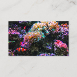 Regnbågsborre Färgad Tropical Undersea Coral Visitkort