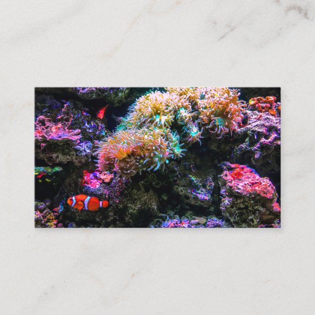 Regnbågsborre Färgad Tropical Undersea Coral Visitkort (Framsida)