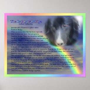 Regnbågsbro dikt husdjur förlust minne poster