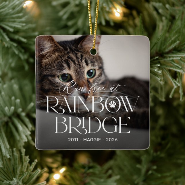 Regnbågsbro Kattminnesmärke Julgransprydnad Keramik (Träd)