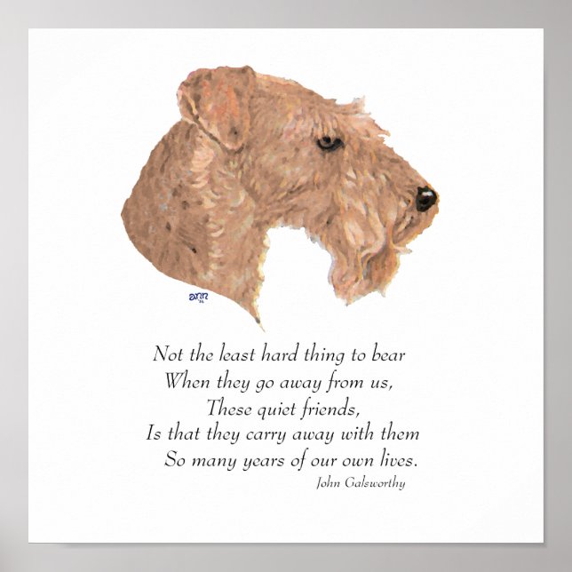 Regnbågsbro Souvenir Poster (Framsidan)