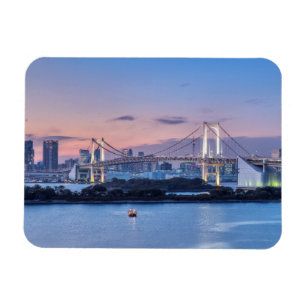 Regnbågsbron i skymningen magnet