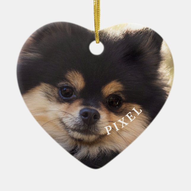 Regnbågsbron i våra hjärtan Pet Loss Orna Julgransprydnad Keramik (Framsidan)