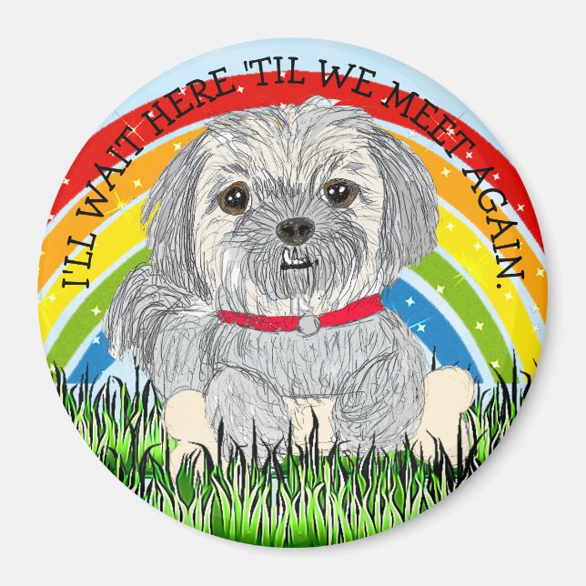 Regnbågsbron  liten Shiatsu eller Llaso Apso hund Magnet (Framsidan)