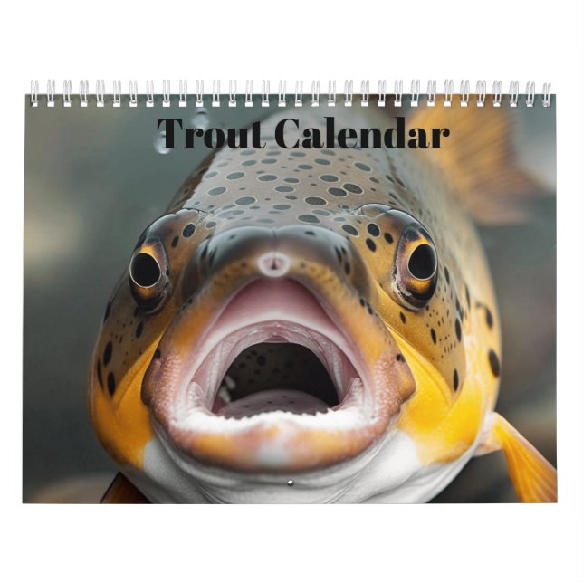 Regnbågsbukfisk 2024 kalender (Omslag)