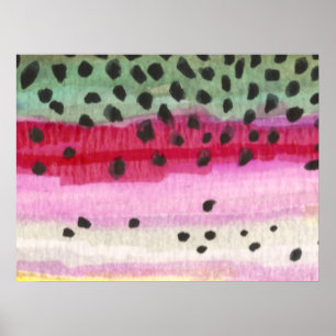 Regnbågsbukfiske Poster