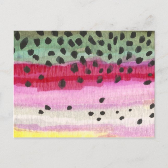 Regnbågsbukfiske Vykort (Framsida)