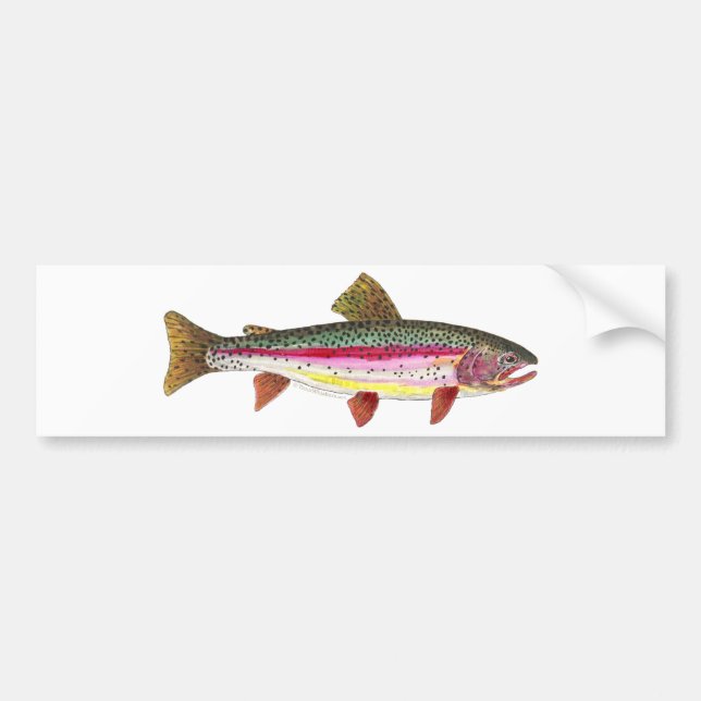 Regnbågsbuskfisk Bildekal (Framsidan)