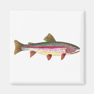 Regnbågsbuskfisk Magnet