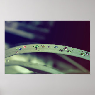 Regnbågsdroppar Poster/ramutskrift Poster