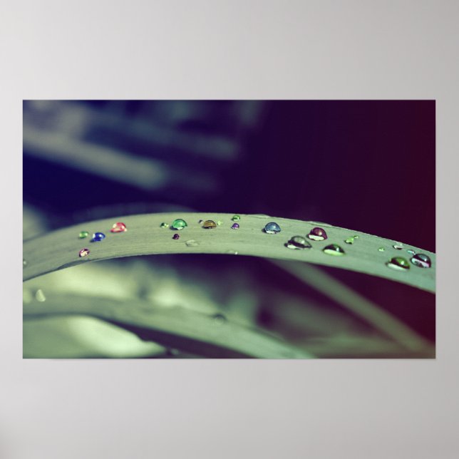 Regnbågsdroppar Poster/ramutskrift Poster (Framsidan)