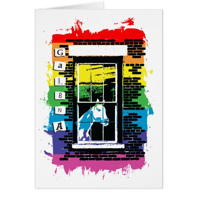 regnbågsfönsterhäst galena OBS kort (Framsidan)