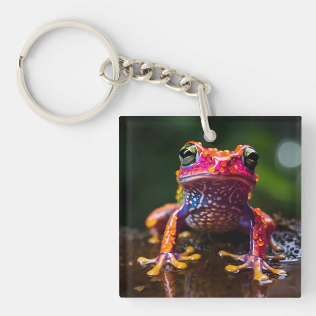 🐸 regnbågsgroda (Framsidan)