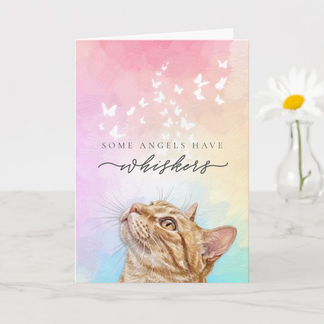 Regnbågshakar Orange Tabby Katt Förlust Sympati Kort (Liten växt)