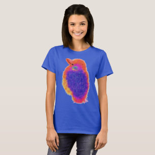 Regnbågsika T Shirt