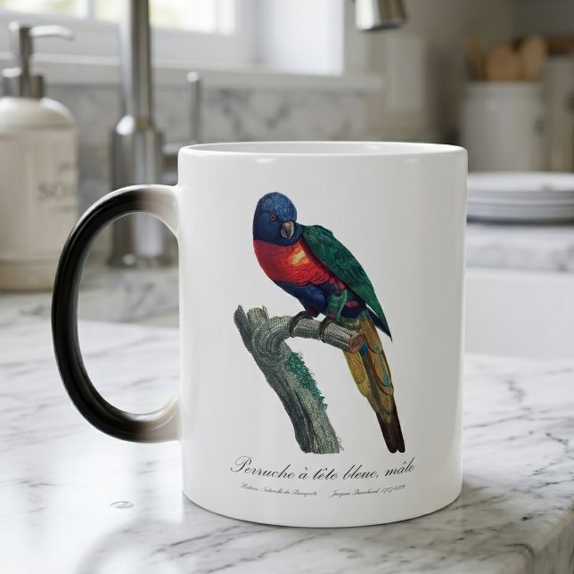 Regnbågslorikit hane, Trichoglossus Moluccanus Magisk Mugg (Rainbow Lorikeet Male, Trichoglossus Moluccanus. Color Morph Mug)