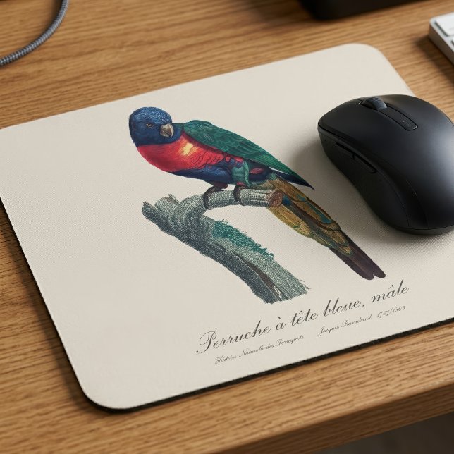 Regnbågslorikit hane, Trichoglossus Moluccanus Musmatta (Rainbow Lorikeet Male, Trichoglossus Moluccanus. Mouse Pad)