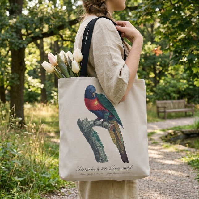 Regnbågslorikit hane, Trichoglossus Moluccanus Tygkasse (Rainbow Lorikeet Male, Trichoglossus Moluccanus. Tote Bag)