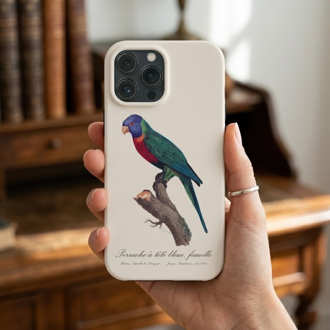 Regnbågslorikit hona, Trichoglossus moluccanus (Perruche a tete bleue, femelle / Rainbow lorikeet, female. iPhone Case)