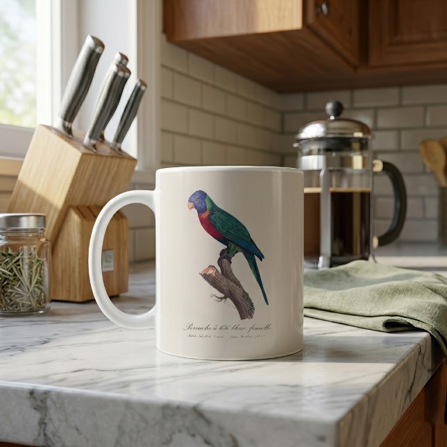 Regnbågslorikit hona, Trichoglossus moluccanus Kaffemugg (Perruche a tete bleue, femelle / Rainbow lorikeet, female. Coffee Mug)
