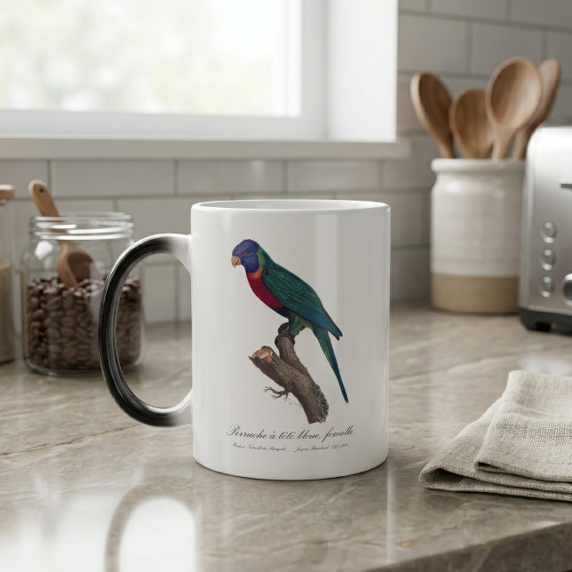 Regnbågslorikit hona, Trichoglossus moluccanus Magisk Mugg (Perruche a tete bleue, femelle / Rainbow lorikeet, female. Color Morph Mug)