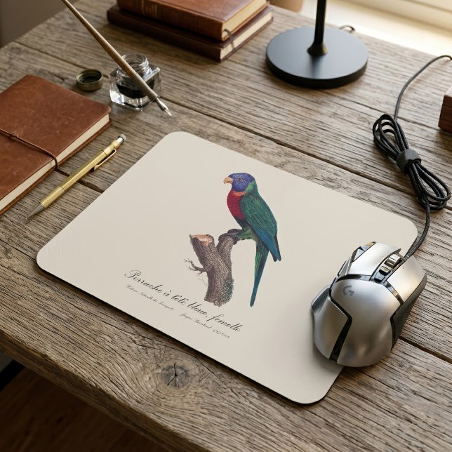 Regnbågslorikit hona, Trichoglossus moluccanus Musmatta (Perruche a tete bleue, femelle / Rainbow lorikeet, female. Mouse Pad)