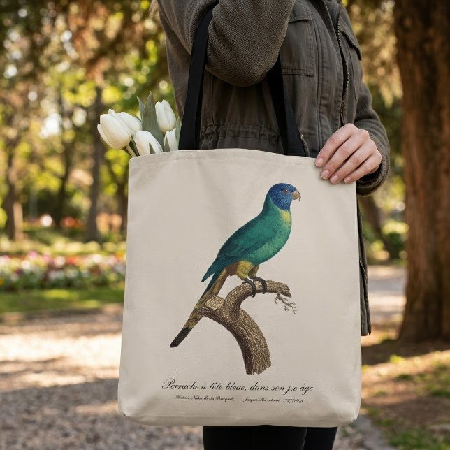 Regnbågslorikit juvenil Trichoglossus moluccanus Tygkasse (Perruche a tete bleue / Rainbow lorikeet, juvenile. Tote Bag)