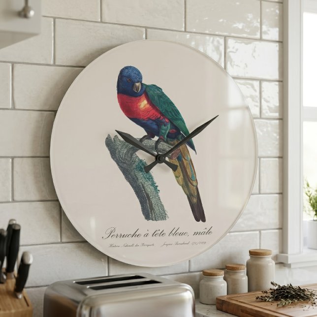 Regnbågslorikit Stor Klocka (Rainbow Lorikeet Male, Trichoglossus Moluccanus. Large Clock)