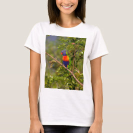 Regnbågslorikit T-shirt